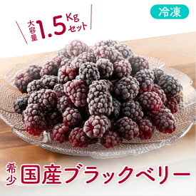 【ふるさと納税】 冷凍 無農薬 ブラックベリー（国産） 新潟県 阿賀町 果物 フルーツ 国産 【冷凍】ベリー スイーツ用ベリー 常備果物 大容量