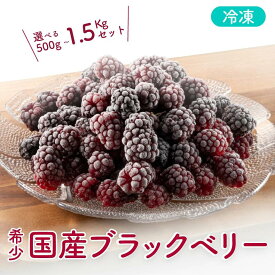 【ふるさと納税】 冷凍 無農薬 ブラックベリー（国産） 新潟県 阿賀町 果物 フルーツ 国産 【冷凍】ベリー スイーツ用ベリー 常備果物 大容量