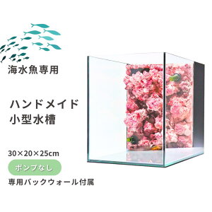yӂ邳Ɣ[ŁznhCh^yCpz|vȂi30×20×25cmj V o_蒬 T[`CtNtg
