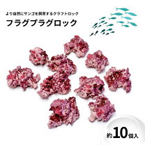 楽天市場】ライブロック フラグの通販