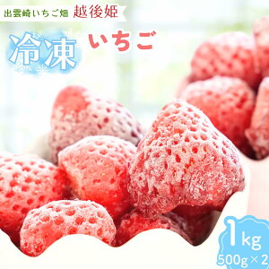 yӂ邳Ɣ[ŁzyzP zⓀ 1kgi500g×2܁j Y _͔|  C`S uh Ⓚt[c t[c ʕ VY o_蒬