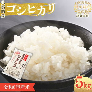 yӂ邳Ɣ[Łzy2TԈȓEʌzߘa6NY RVqJ ʍ͔| uV̗̂v 5kg VY o_蒬Y   