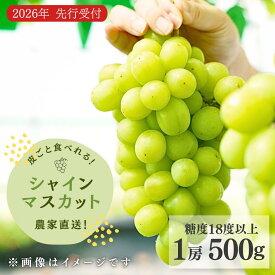 【ふるさと納税】【数量限定】 シャインマスカット 1房500g 糖度18度以上 ぶどう 葡萄 ブドウ 皮ごと食べられる 種無し 甘い フルーツ 果物 贈答品 ギフト 農家直送 新潟県 出雲崎町