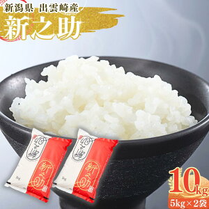 yӂ邳Ɣ[Łzyߘa7NYVāz uVVv 10kg VY o_蒬Y   