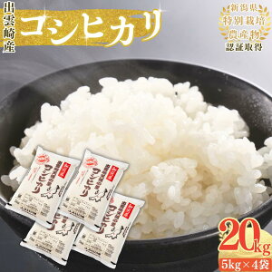 yӂ邳Ɣ[Łzyߘa7NYVāz ʍ͔| RVqJ uV̗̂v 20kg VY o_蒬Y    Ђ
