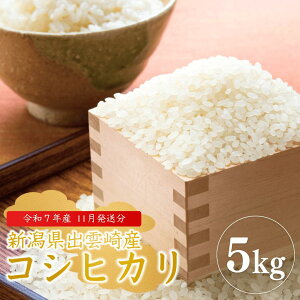 yӂ邳Ɣ[Łzyߘa7NYVāz yߘa7N11\zuRVqJv 5kg VY o_蒬Y _Ɩ@l    Ђ