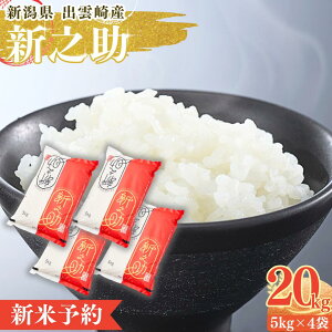 yӂ邳Ɣ[Łzys\Eߘa7N10ȍ~\z ߘa7NYV uVVv20kg VY o_蒬Y   