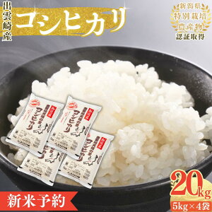 yӂ邳Ɣ[Łzys\Eߘa7N10ȍ~\z ߘa7NYV ʍ͔| RVqJuV̗̂v 20kg VY o_蒬Y    Ђ