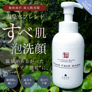 yӂ邳Ɣ[ŁzHOT SPRING WATER COMPOSITION FORM FACE WASHynYiz
