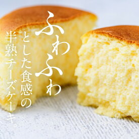 【ふるさと納税】 あわゆきチーズ フロまーる 半熟チーズケーキ プレーン＆チョコ【地場産品】