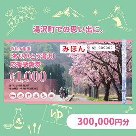 【ふるさと納税】 「ありがとう湯沢」応援感謝券【300,000円分】旅行券 クーポン券 割引券 サービス券 旅行 観光 スキー場 温泉 お土産 旅館 ホテル 民宿 レジャー施設 お食事券 地域商品券 スノーボード チケット 越後湯沢