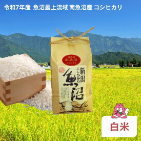【ふるさと納税】 令和7年産〈白米〉 魚沼最上流域 南魚沼産 コシヒカリ 精米したてのお米をお届け 【湯沢産 コシヒカリ】