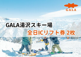 【ふるさと納税】GALA湯沢スキー場【全日ICリフト券】2枚 並ばずスマートチェックイン 上越新幹線ゲレンデ直結 ガーラ湯沢 スキー&スノーボード 子連れでの旅行にも 【レジャー】