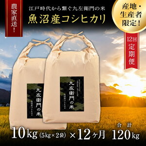 yӂ邳Ɣ[Łz  10kg ( 5kg × 2 ) ߘa7NY V Y RVqJ ㍶q̕ _ƒ Iׂ锭 1 12 |   Ђ     V Ó쒬