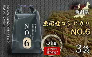 yӂ邳Ɣ[Łz 5kg ߘa7NY V Y RVqJ NO.6 Iׂe 5kg 10kg 15kg| Ђ    R    ͂ uh  lC V Ó쒬 