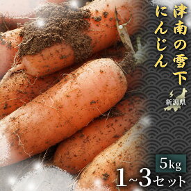 【ふるさと納税】【令和8年産先行予約】 人参 津南の雪下にんじん 5kg 1セット 3セット 選べるセット数 | 雪下 雪の下 ゆきのした にんじん ニンジン キャロット 5キロ 15キロ 野菜 やさい 野菜スティック サラダ おすすめ お取り寄せ 産地直送 新潟県 津南町
