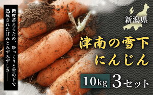 �y�ӂ邳�Ɣ[�Łz�y�ߘa8�N�Y��s�\��z �l�Q �Ó�̐ቺ�ɂ񂶂� 10kg 1�Z�b�g 3�Z�b�g �I�ׂ�Z�b�g�� | �ቺ ��̉� �䂫�̂��� �ɂ񂶂� �j���W�� �L�����b�g 10�L�� 30�L�� ��� �₳�� ��