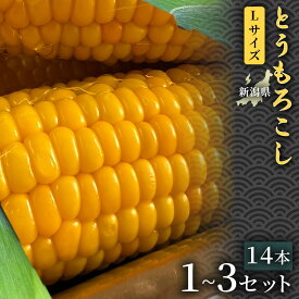 【ふるさと納税】【令和8年産先行予約】とうもろこし 14本 Lサイズ 1セット 3セット 選べるセット数 | とうもろこし スイートコーン 野菜 やさい 自然の甘み 極甘スイートコーン フルーツとうもろこし 子どもが喜ぶ 旬の味覚 おすすめ お取り寄せ 産地直送 新潟県 津南町