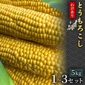 【ふるさと納税】【令和8年産先行予約】訳あり とうもろこし 5kg 1セット 3セット 選べるセット数 | とうもろこし スイートコーン 野菜 やさい 自然の甘み 極甘スイートコーン フルーツとうもろこし 旬の味覚 BBQ用 おすすめ お取り寄せ 産地直送 新潟県 津南町