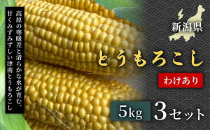 �y�ӂ邳�Ɣ[�Łz�y�ߘa8�N�Y��s�\��z�󂠂� �Ƃ����낱�� 5kg 1�Z�b�g 3�Z�b�g �I�ׂ�Z�b�g�� | �Ƃ����낱�� �X�C�[�g�R�[�� ��� �₳�� ���R�̊Â� �ɊÃX�C�[�g�R�[�� �t���[�c�Ƃ�