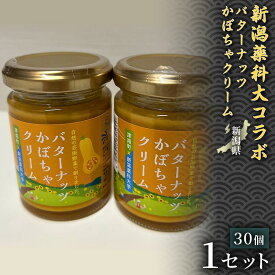 【ふるさと納税】【濃厚でなめらかな味わい】新潟薬科大コラボ バターナッツかぼちゃクリーム 100g（30個入） 産地直送 特産食品 地域限定食品 国産かぼちゃ 特産品スイーツ かぼちゃペースト 野菜スイーツ 野菜不足解消 朝食の一品 栄養満点 ご褒美 贈り物 ギフト