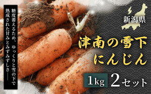 �y�ӂ邳�Ɣ[�Łz�y�ߘa8�N�Y��s�\��z �l�Q �Ó�̐ቺ�ɂ񂶂� 1kg 2kg �I�ׂ�e�� | �ቺ ��̉� �䂫�̂��� �ɂ񂶂� �j���W�� �L�����b�g 1�L�� 2�L�� ��� �₳�� ��؃X�e�B�b�N �T���_