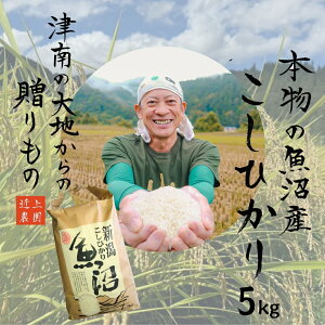 yӂ邳Ɣ[Łzߘa7NY YRVqJ  5kg | ߏ_ Y Ђ    R  ͂ uh  lC Mtg v[g V Ó쒬