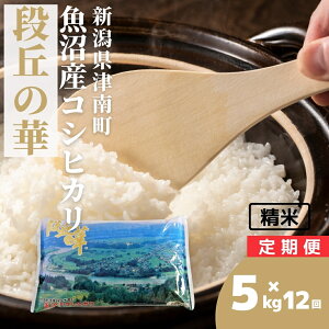 �y�ӂ邳�Ɣ[�Łz�y�ߘa7�N�Y�z�� 5kg �����Y �R�V�q�J���i�u�̉� �I�ׂ�z���񐔁i�P��/3����/6����/12�����j| �����Ђ��� ���� ������ ���� �R�� ���� ���͂� ���� ���� �u�����h�� �������� 