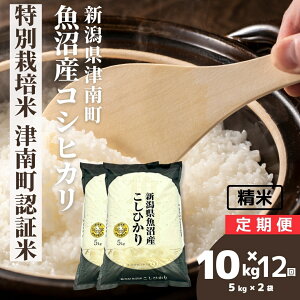 yӂ邳Ɣ[Łzyߘa7NYz 10kg(5kg×2) Y RVqJʍ͔| Ó쒬Fؕ Iׂz񐔁iP/3/6/12j | Ђ    R  ͂  