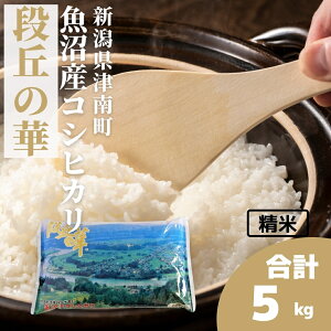 yӂ邳Ɣ[Łzyߘa7NYz 5kg Y RVqJiủ | Ђ    R  ͂   uh  lC Mtg v[g V Ó쒬