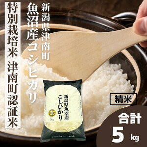 yӂ邳Ɣ[Łzyߘa7NYz 5kg Y RVqJʍ͔| Ó쒬Fؕ | Ђ    R  ͂   uh  lC Mtg v[g V