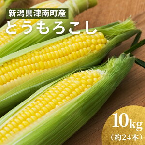 yӂ邳Ɣ[Łzyߘa8NYs\z ̂ Ƃ낱 XC[gR[ 5kg 12{ 10kg 24{ | gERV R[ Ƃ Â  lC     