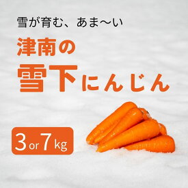 【ふるさと納税】【令和8年産先行予約】津南の雪下にんじん 3kg 7kg 雪下 雪の下 ゆきのした にんじん 人参 ニンジン キャロット 野菜 やさい 野菜スティック サラダ 新潟県 津南町