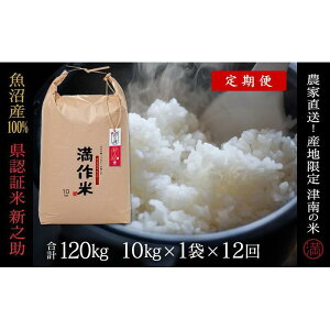 yӂ邳Ɣ[Łzy2025NYVāzyF؁zÓYVV 10kg(10kg×1) Iׂz YnI_ƒ