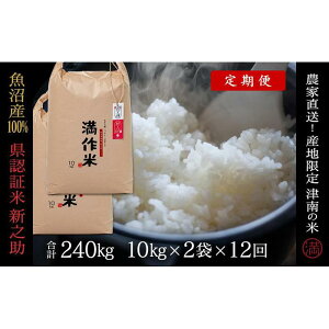 yӂ邳Ɣ[Łz  20kg ( 10kg × 2 ) ߘa7NY V Y VV Fؕ ʍ͔| _ƒ Iׂz | ̂ uh      V Ó쒬