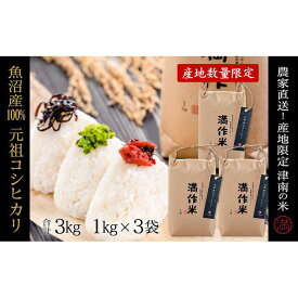 【ふるさと納税】【2025年産新米】元祖魚沼産従来コシヒカリ 3kg 産地限定！農家直送