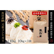楽天市場】津南町コシヒカリ 玄米 30kgの通販 