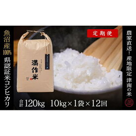 【ふるさと納税】【2025年産新米】【12ヶ月定期便】合計120kg 10kg×12回 特栽魚沼産コシヒカリ