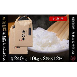 yӂ邳Ɣ[Łz  20kg ( 10kg × 2 ) ߘa7NY V Y RVqJ Fؕ ʍ͔| _ƒ Iׂz | BLRVqJ    R  Mtg v[g V 