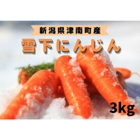 【ふるさと納税】【令和8年発送分 先行予約】人参 雪下にんじん 3kg 5kg 10kg 選べる 容量 季節限定 | 雪下 雪の下 ゆきのした にんじん 人参 ニンジン キャロット 野菜 やさい 野菜スティック サラダ 新潟県 津南町
