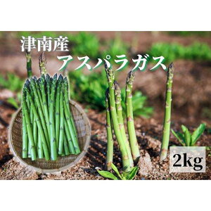yӂ邳Ɣ[Łzyߘa8NY s\z  AXpKX 1kg`2kg ol ( L`2LTCY ) Iׂe | O[ AXp ς  ₳ Hi T_ VՂ o[xL[ ē 
