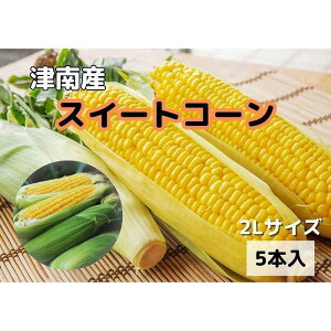 yӂ邳Ɣ[Łzyߘa8NY s\z ̂ Ƃ낱 XC[gR[ 2LTCY 5{~20{ ( 1{400g ) Iׂ{ | gERV R[ Ƃ Â  V Ó쒬