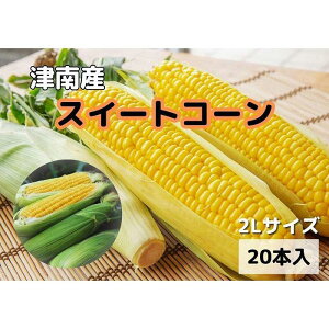 yӂ邳Ɣ[Łzyߘa8NY s\z ̂ Ƃ낱 XC[gR[ 2LTCY 5{~20{ ( 1{400g ) Iׂ{ | gERV R[ Ƃ Â  V Ó쒬