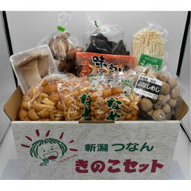 【ふるさと納税】 きのこ 詰合せセット 8種 約1600g ( なめこS / 料理なめこ / 味わいなめこ / しいたけA / ぶなしめじ / 生きくらげ / えのき / エリンギ ) | 津南町森林組合 新潟県
