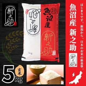 【ふるさと納税】 玄米 5kg 令和7年産 中魚沼産 新之助 | 魚沼産 うおぬま産 しんのすけ お米 おこめ 米 こめ コメ ご飯 ごはん ブランド米 おすすめ ギフト プレゼント 新潟県 津南町