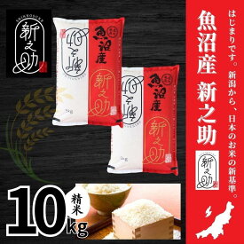 【ふるさと納税】 米 10kg ( 5kg × 2袋 ) 令和7年産 新米 中魚沼産 新之助 選べる配送回数 | しんのすけ お米 おこめ 米 こめ コメ 白米 精米 ブランド米 おすすめ ギフト プレゼント 新潟県 津南町