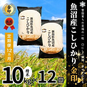 yӂ邳Ɣ[Łzߘa7NY YRVqJuvH 10kg(5kg×2) Iׂz V Ó쒬 LЃC^o