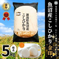 楽天市場】新潟 コシヒカリ 一等米の通販