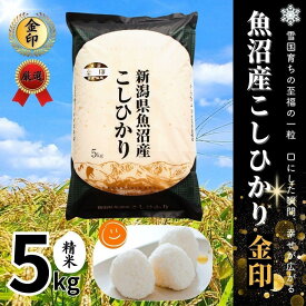 【ふるさと納税】 高食味米 5kg 令和7年産 新米 魚沼産 コシヒカリ 金印 ( 一等米の中から厳選 ) 選べる配送回数 | 白米 精米 こしひかり 米 こめ コメ お米 おこめ ブランド米 おすすめ 人気 ギフト 新潟県 津南町