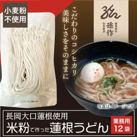 【ふるさと納税】米粉麺 うどん グルテンフリー 128g×12食パック【1563090】